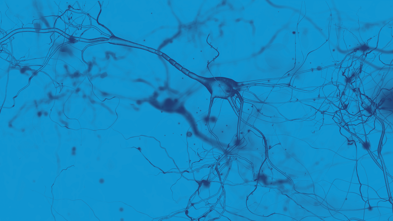 Postdoctoral Positions