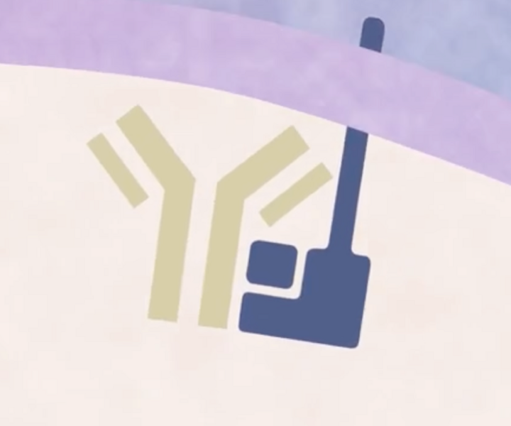 Antibody Pharmacokinectic Evaluation (HuPK) - Page Tile