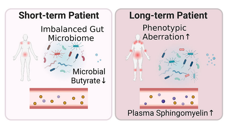 Identifying the functional mechanisms of ME/CFS
