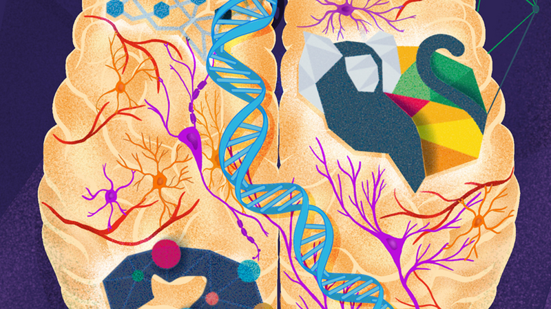 Researchers are closing in on a mouse model for late-onset Alzheimer's research