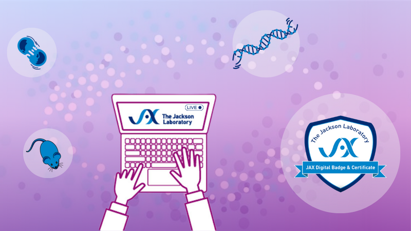 Virtual Undergraduate Cancer Genomics Programs