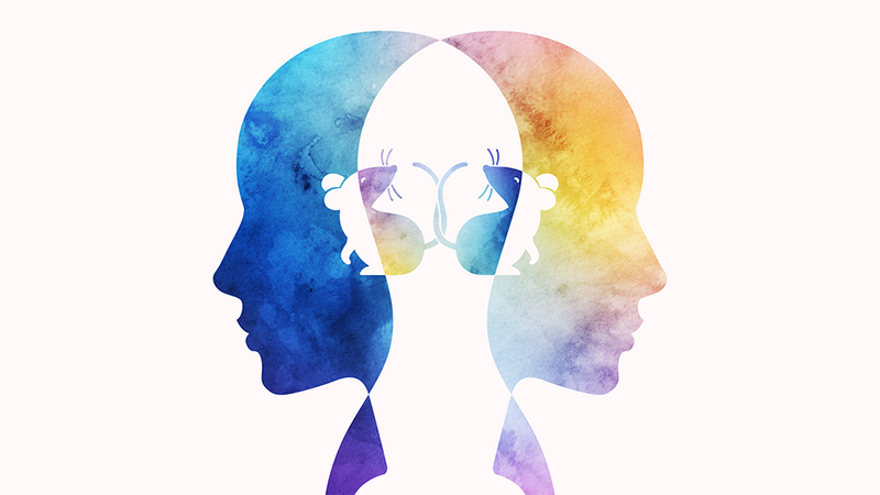 JAX researchers call for new method to drive innovation in drug discovery and personalized therapies