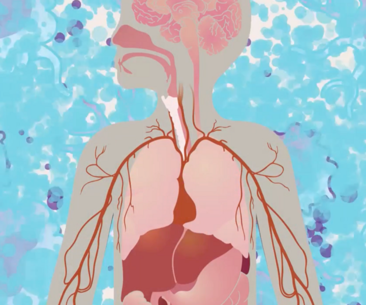 Safety And Efficacy Testing With Cytokine Release Syndrome Assay - Page Tile