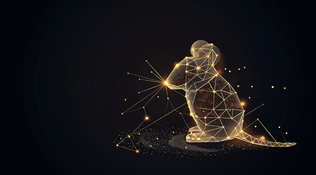 Researchers develop stress-free method to weigh mice using computer vision