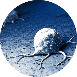 PDX DB Search - Page Tile