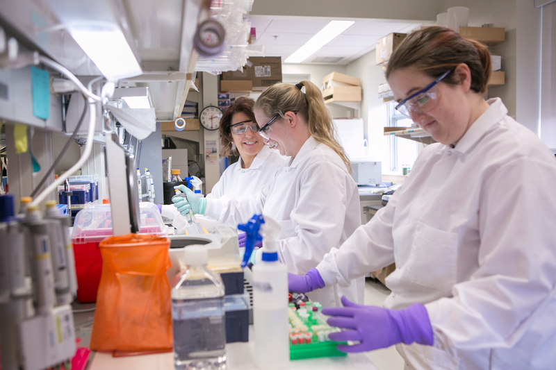 Newsroom - News & Insights - Page Tile - JAX research roundup: longevity, ancient DNA, and more